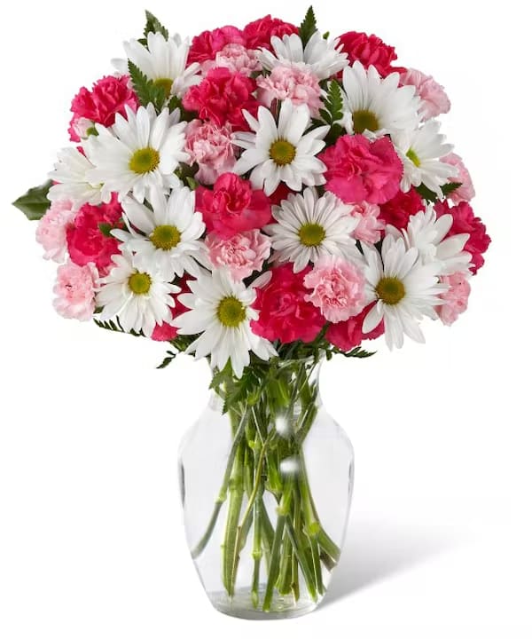 Bouquet of pink carnations and white daisies in a clear glass vase
