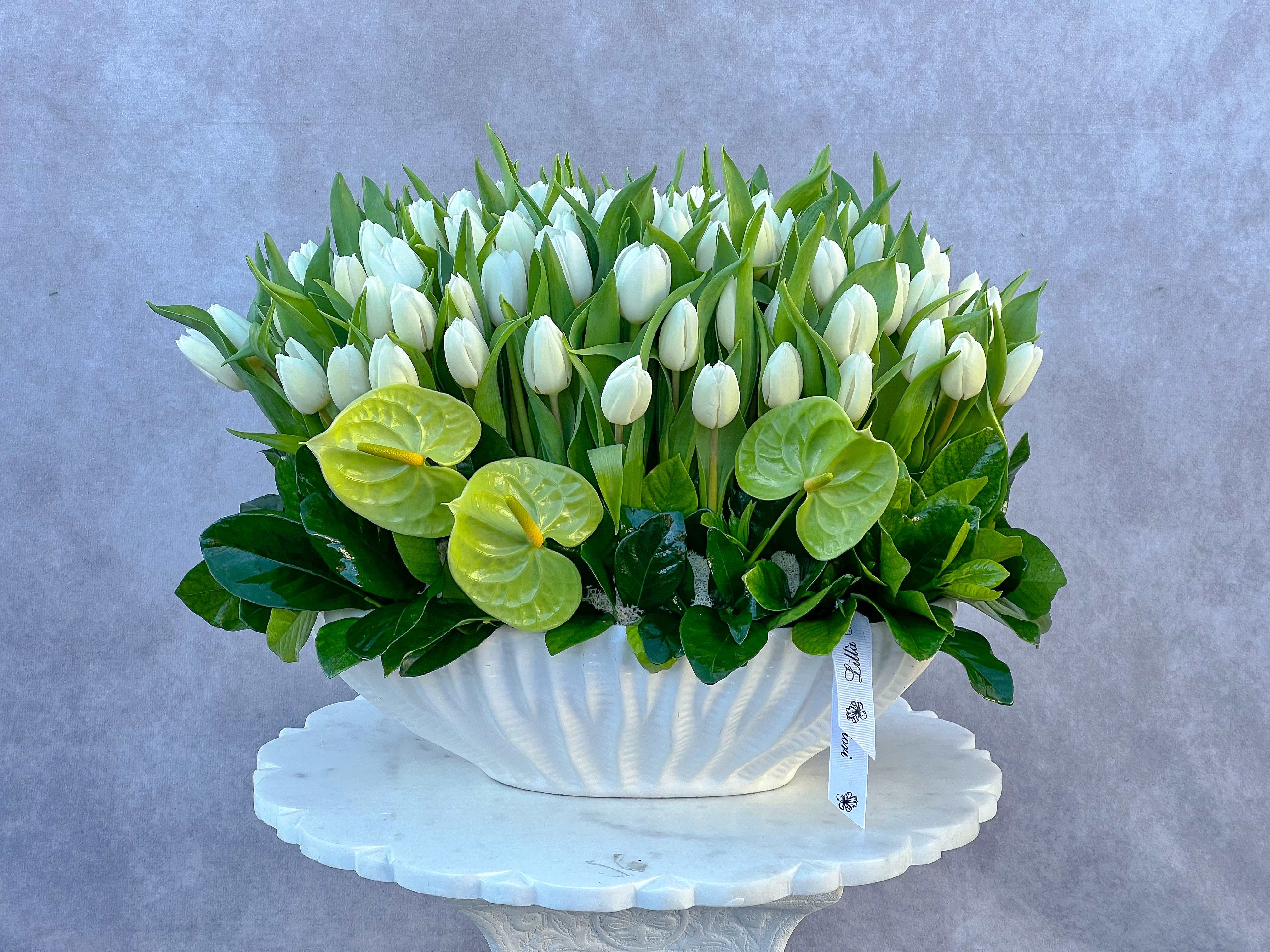White tulips and green anthuriums in a white shell-shaped vase