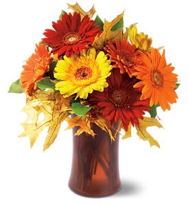 Autumn Gerberas - The warmth of the season radiates from this exuberant floral arrangement, featuring glorious gerberas in every color under the autumn sun.