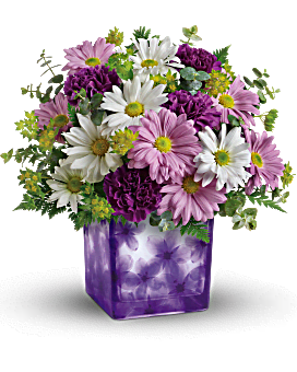 Dancing Violets - Surprise and delight Mom this Mother's Day with this beautiful violet cube vase, hand-delivered with the perfect purple and white bouquet!