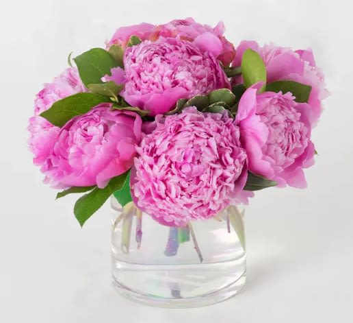 Scented Peonies arrangement  - Indulge in the timeless beauty of Pretty in Peony, a breathtaking arrangement featuring  lush pink or coral peonies. Nestled in an elegant iridescent Fairy vase, this stunning design captures the soft romance and delicate charm of peony season. Perfect for gifting or elevating any space, Pretty in Peony exudes grace, elegance, and a touch of floral luxury.