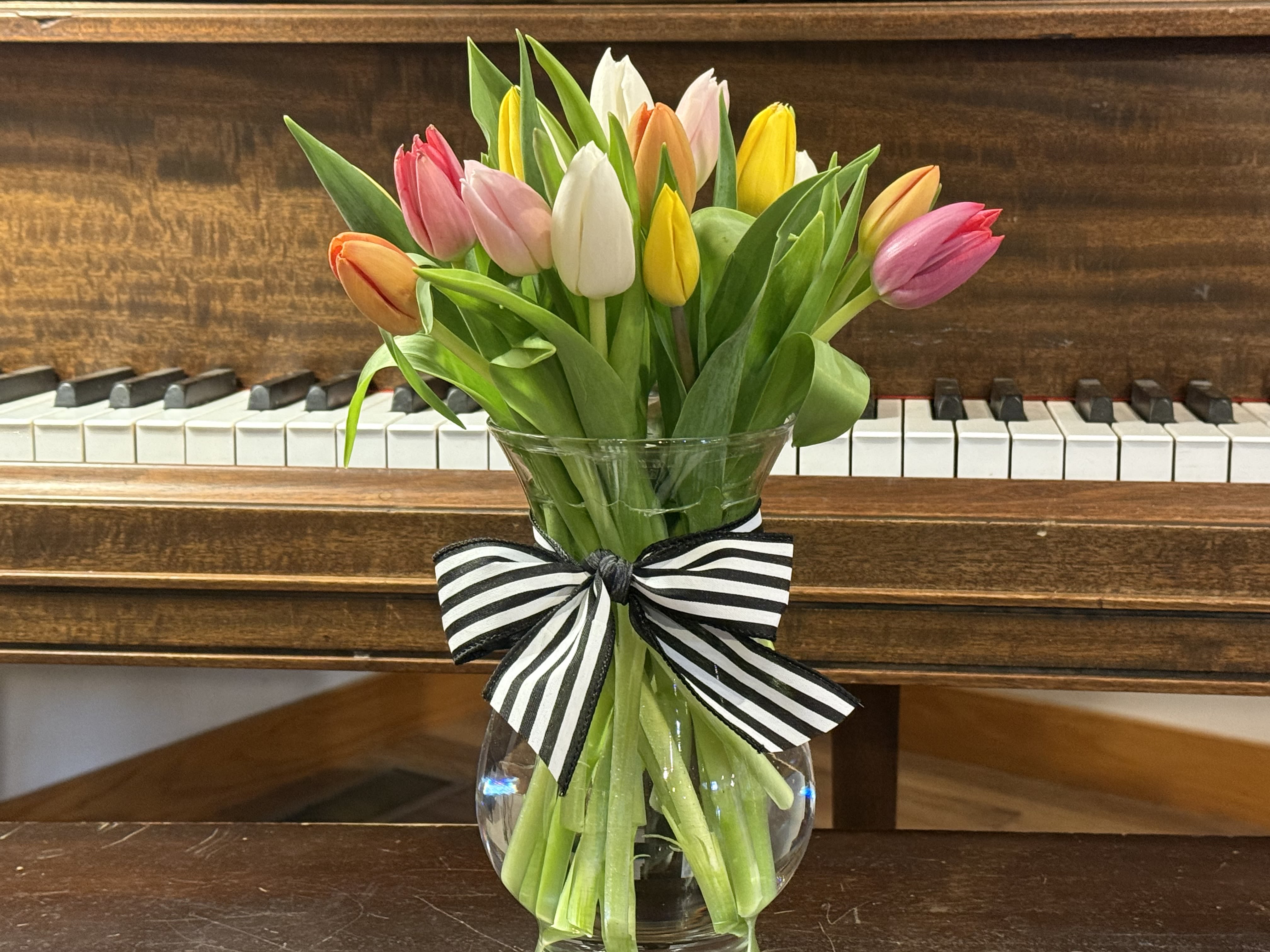Mixed Tulips  - This bouquet is made with a variety of mixed colored tulips, in a medium sized Bella vase. tied together with a beautiful bow.