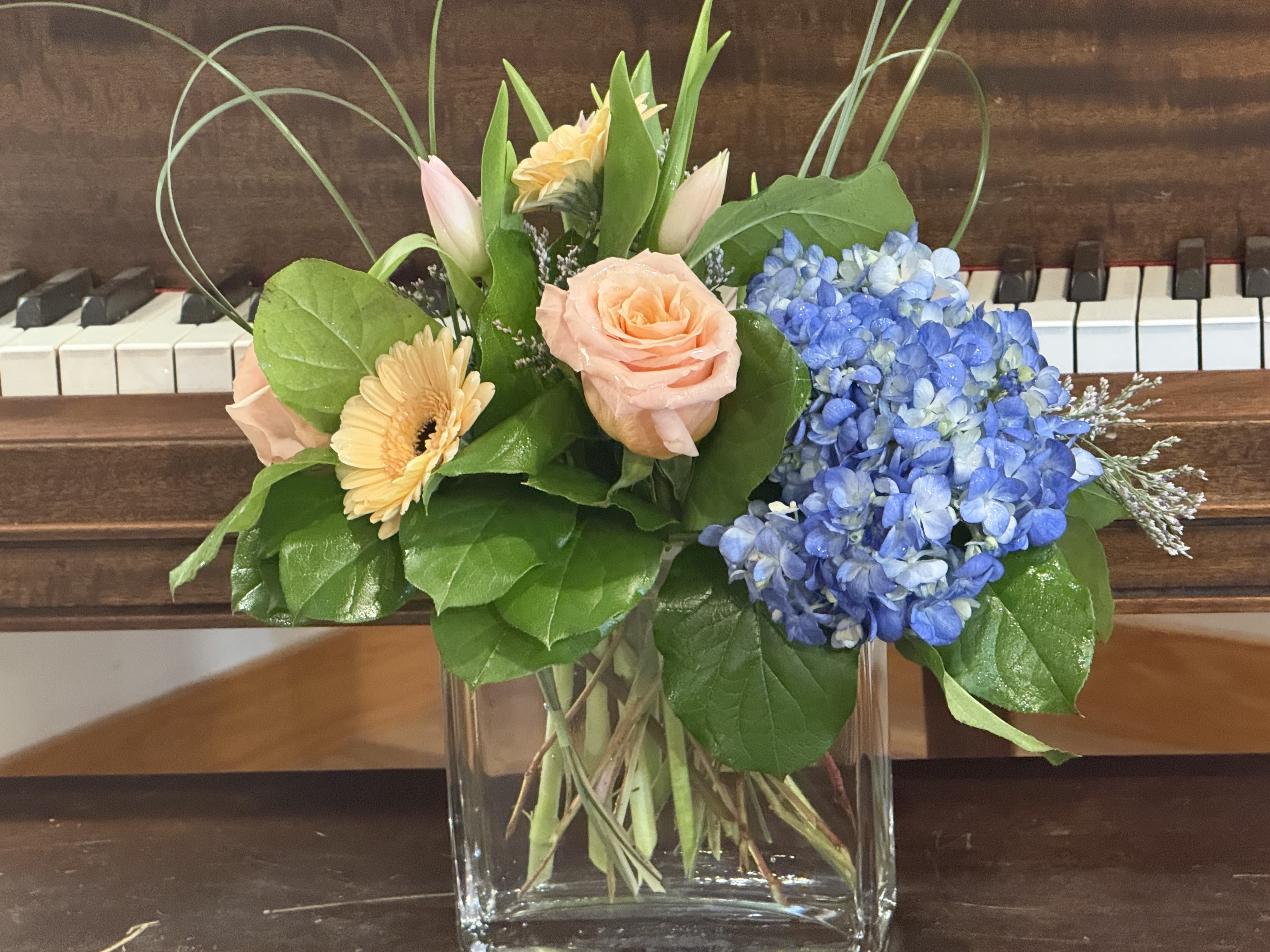 Spring by Steph - Spring by Steph is a modern design perfect for any occasion from Celebration to Sympathy. This is an arrangement everyone will love! 