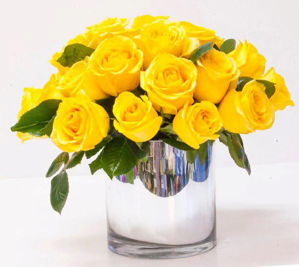 Bright Yellow Roses (DL) -  The design features two dozen joyful local yellow Roses in a round glass vase. These bright and sunny flowers are guaranteed to brighten even the dullest of rooms. 