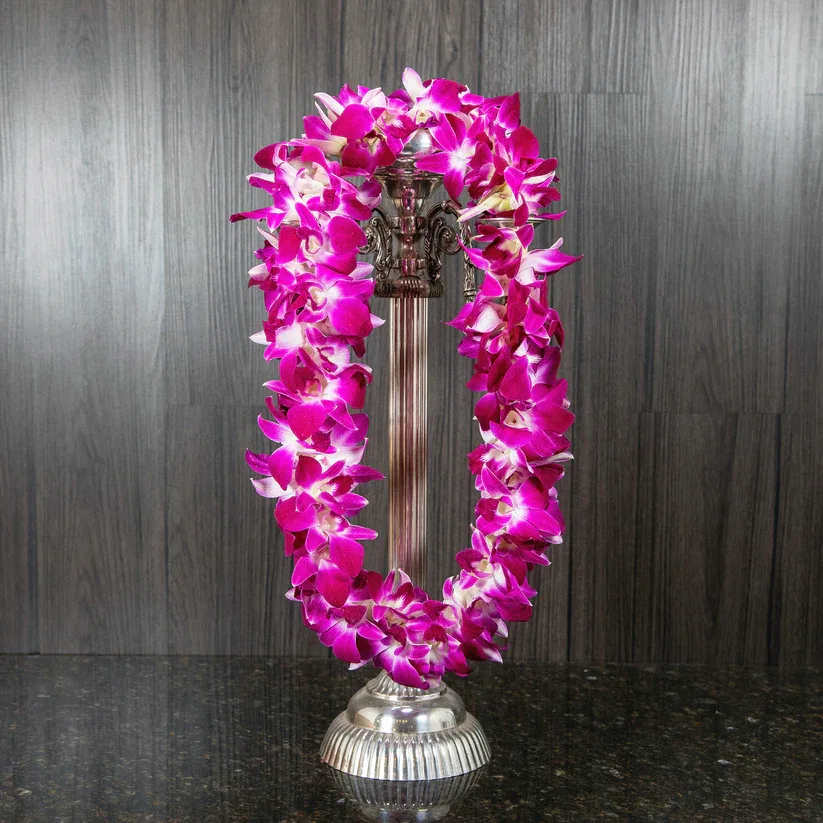 Natural Double Orchid Leis - Leis are a fun and beautiful way to make a statement for any occasion, from graduations to events to weddings and more!  Dendrobium orchids are a long lasting flower, and your lei can last up to a week with refrigeration and moisture. Your lei will come in a sealed box that can be placed in the refrigerator. 