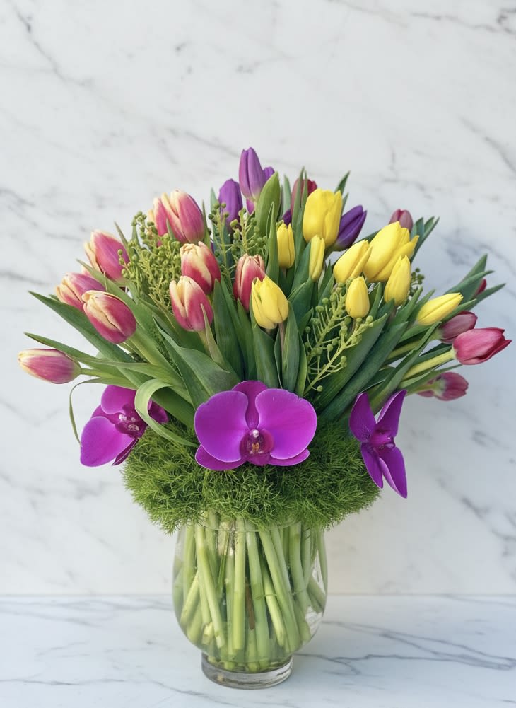Nob Hill Tulip Garden - Deliver a vase overflowing with their favorite Holland spring tulips, green trix and exotic phalaenopsis orchids.  A gorgeous surprise to celebrate any occasion.  Spring Colors vary daily:  Your bouquet will include up to four of the following colors: Yellow, Pink, Hot PInk, Purple, Red, White, Orange