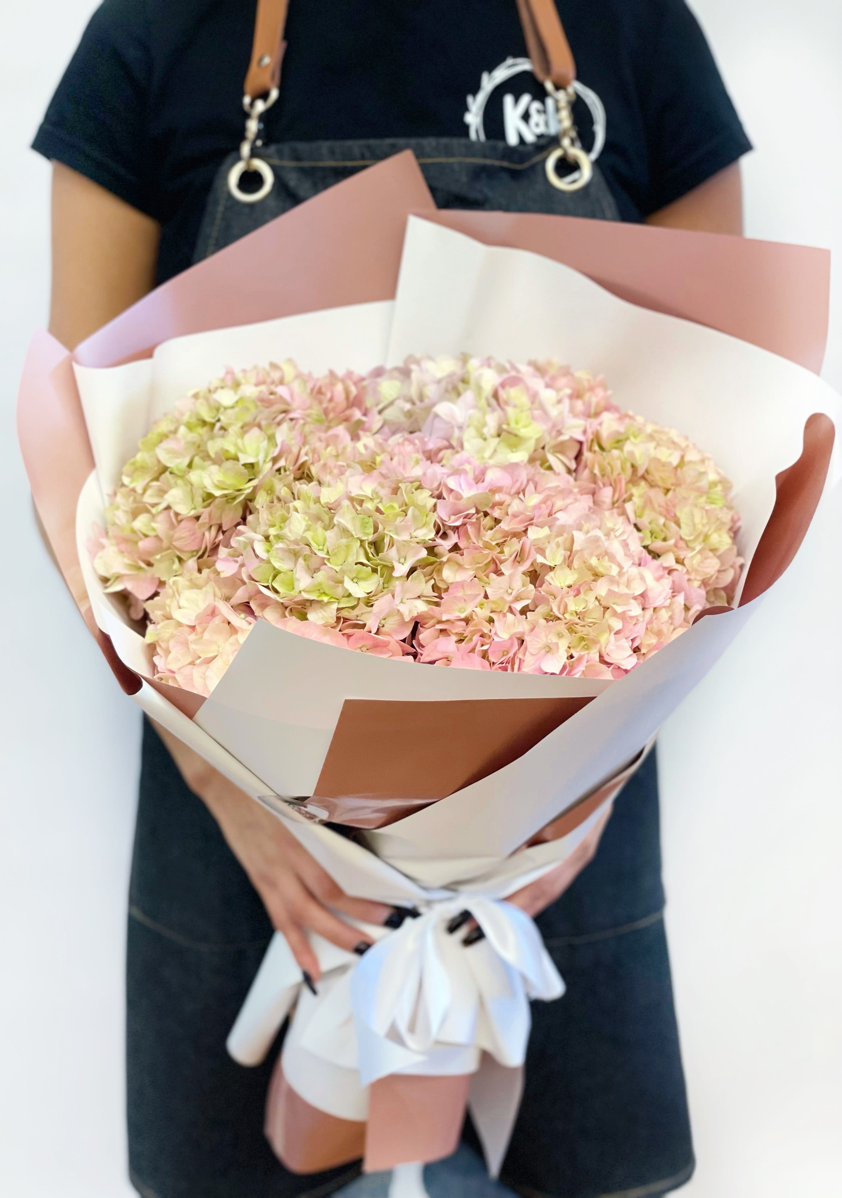 Pink Hydrangea half a dozen - A fluffy cloud of pinky-green hydrangeas. 6 hydrangeas. 