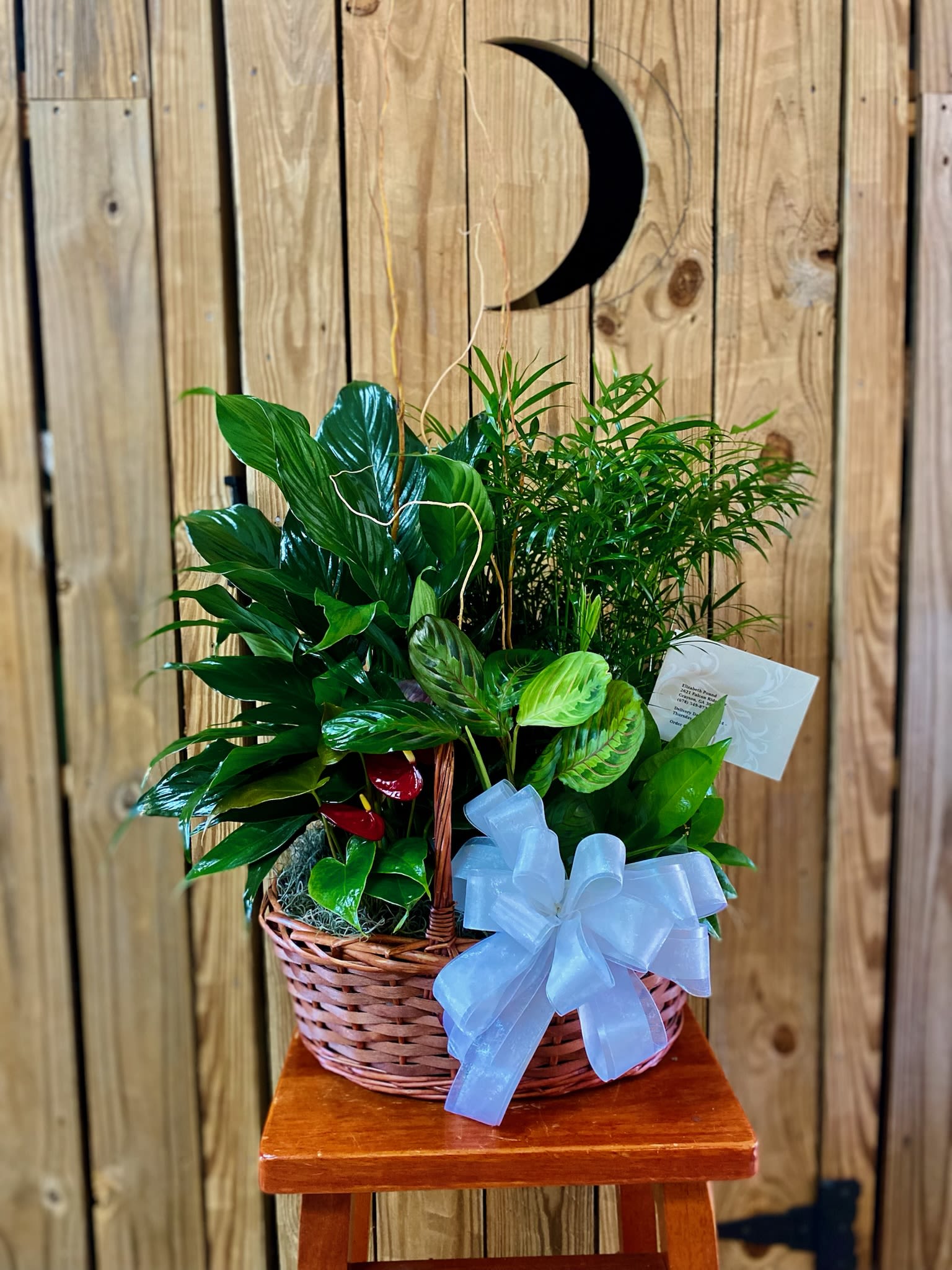 European Garden - Beautiful basket with three to four different plant types. 
