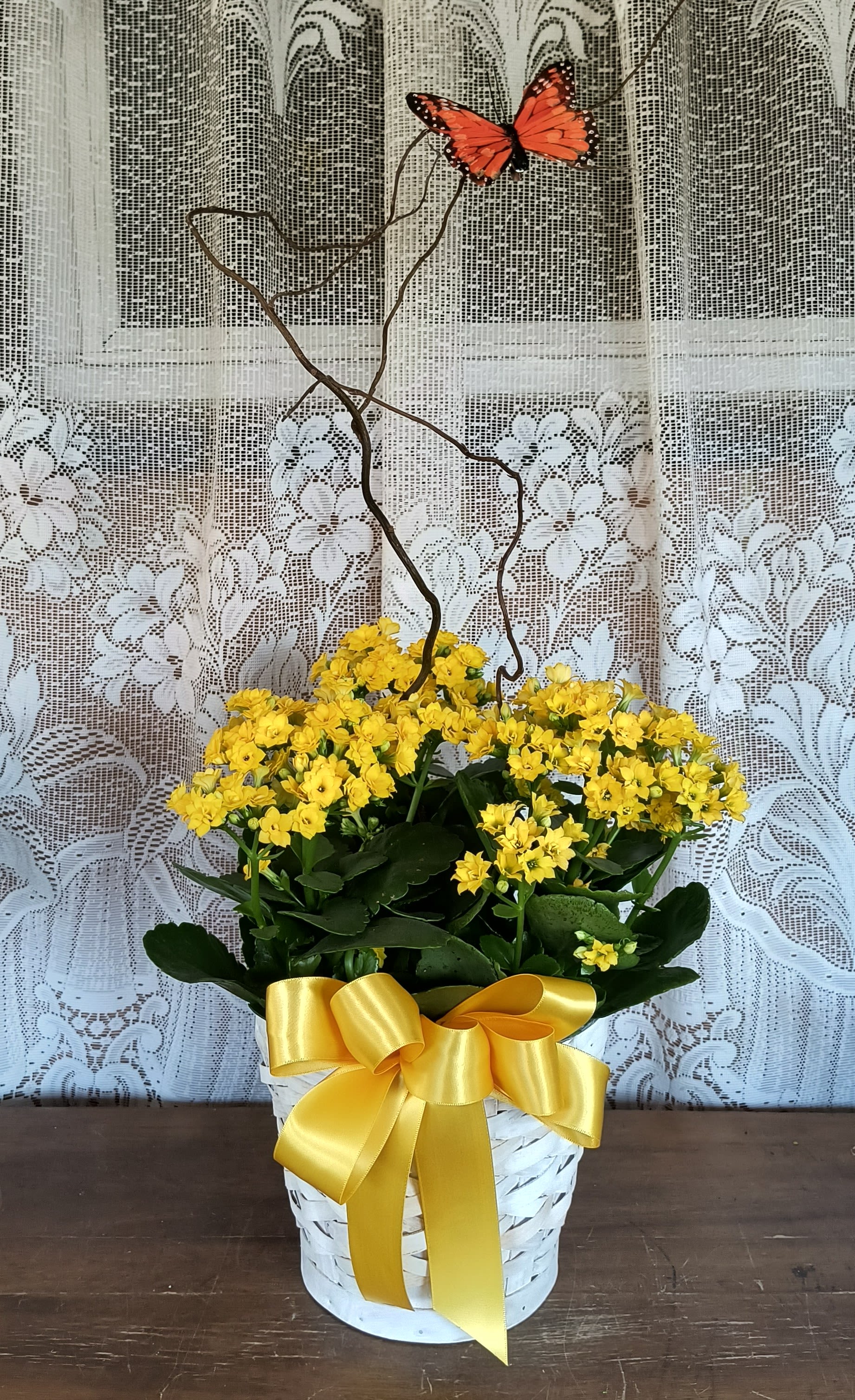 Yellow flowering plant in a white basket with a butterfly topper and yellow ribbon
