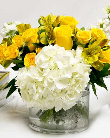 Hydrangeas and roses in a cube - Beautiful flowers perfect for a desk or a sofa table