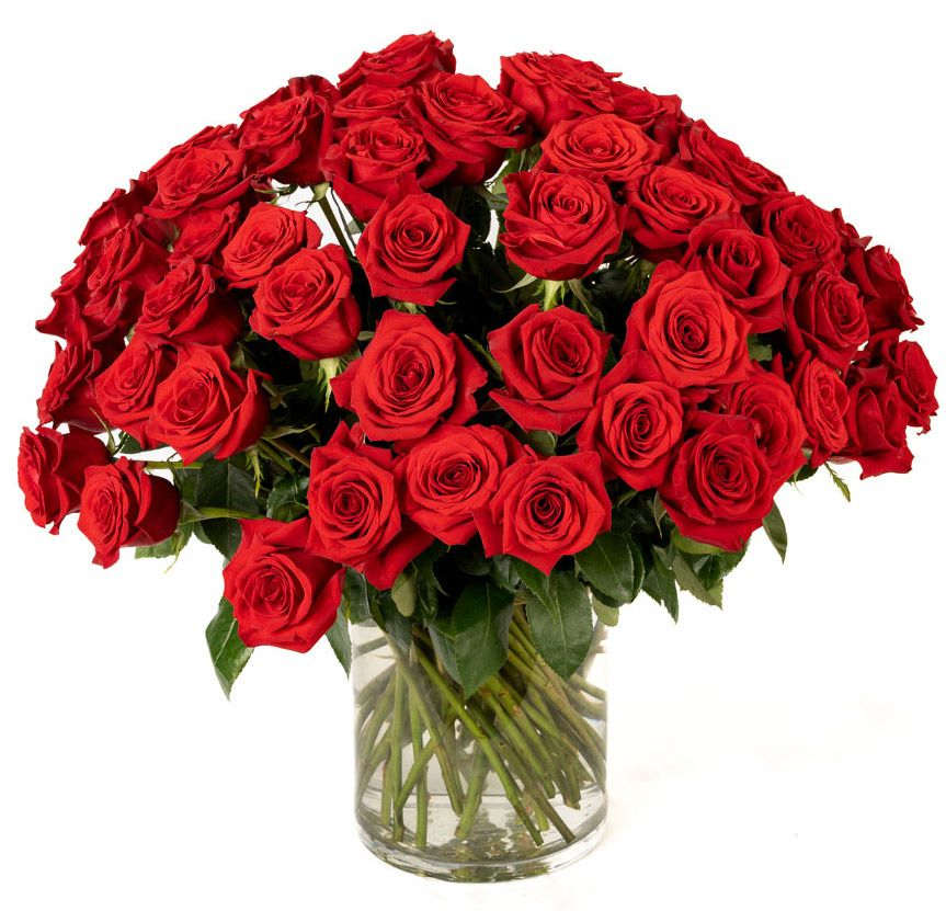 Large bouquet of red roses arranged in a clear glass cylinder vase