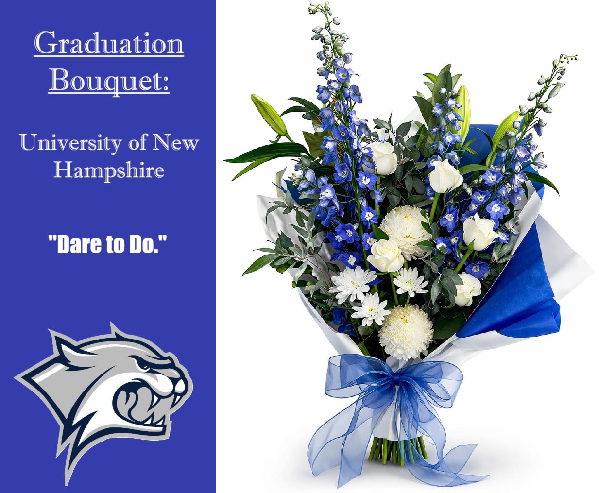 Graduation Bouquet: University of New Hampshire - Congrats Wildcats! Celebrate your graduate with a Designer's Choice Blue and White wrapped bouquet!  Water source will be provided. 