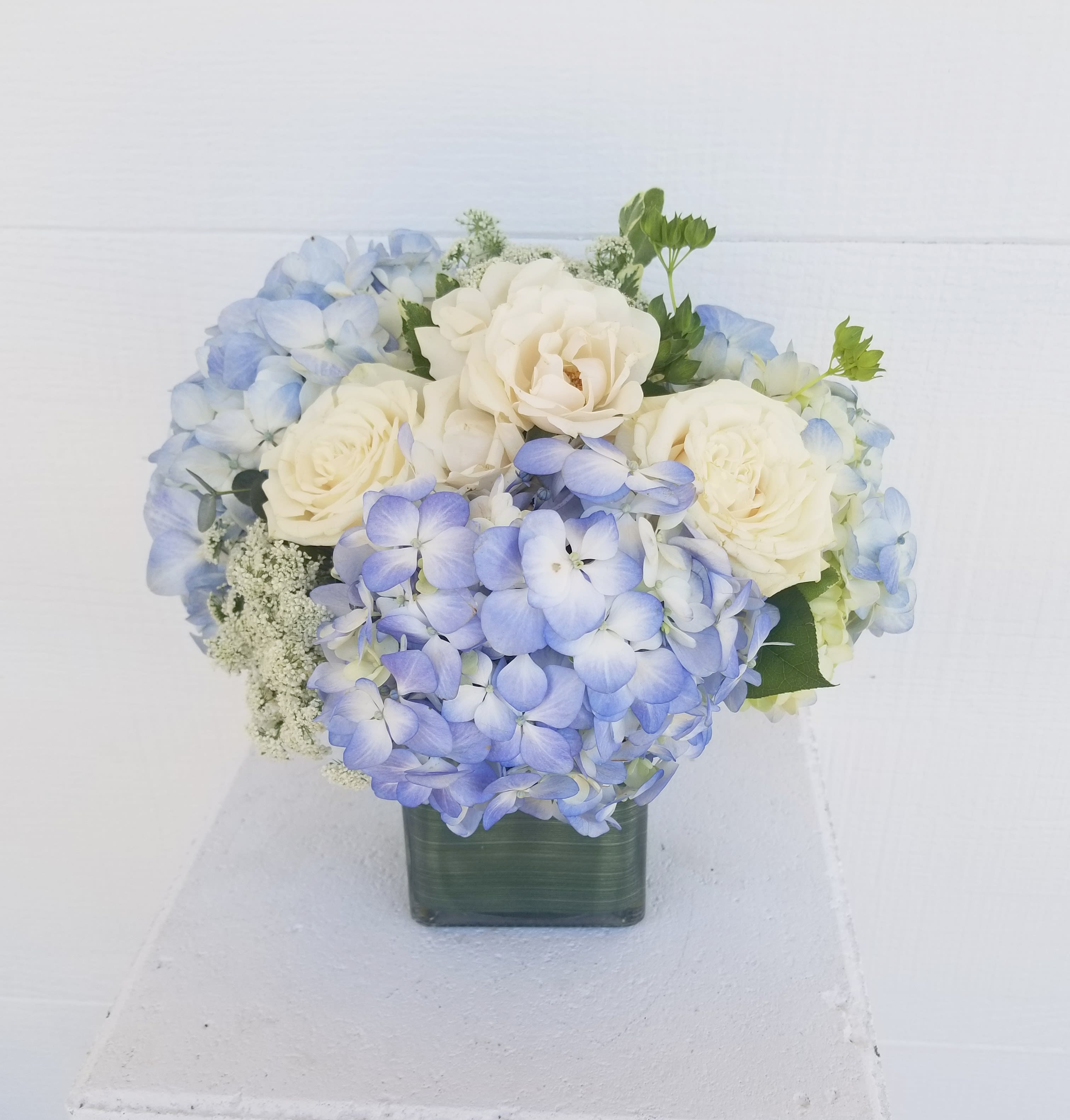 Blue Hydrangea cube - Beautiful blue hydrangea with white roses.  Short compact arrangement.   Upgrades go in a bigger cube vase with more flowers for an overall fuller size. 