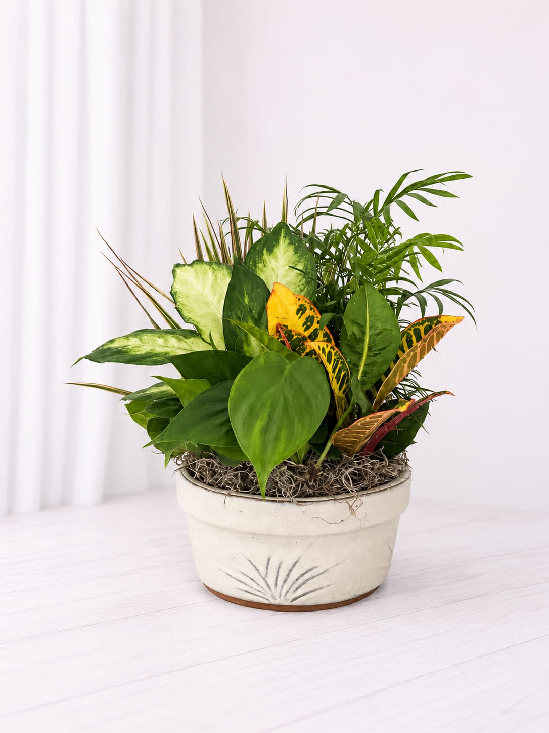 Planter - This listing is for a mixed planter, standard is in a handled basket, deluxe and premium will vary depending on availability