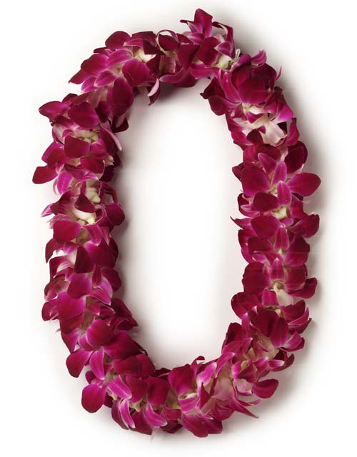 Double Purple Dendrobium Orchid Lei - Please call store for availability. The perfect way to congratulate someone on their achievement, whether it be graduating from High School, College or to celebrate another momentous occasion. 