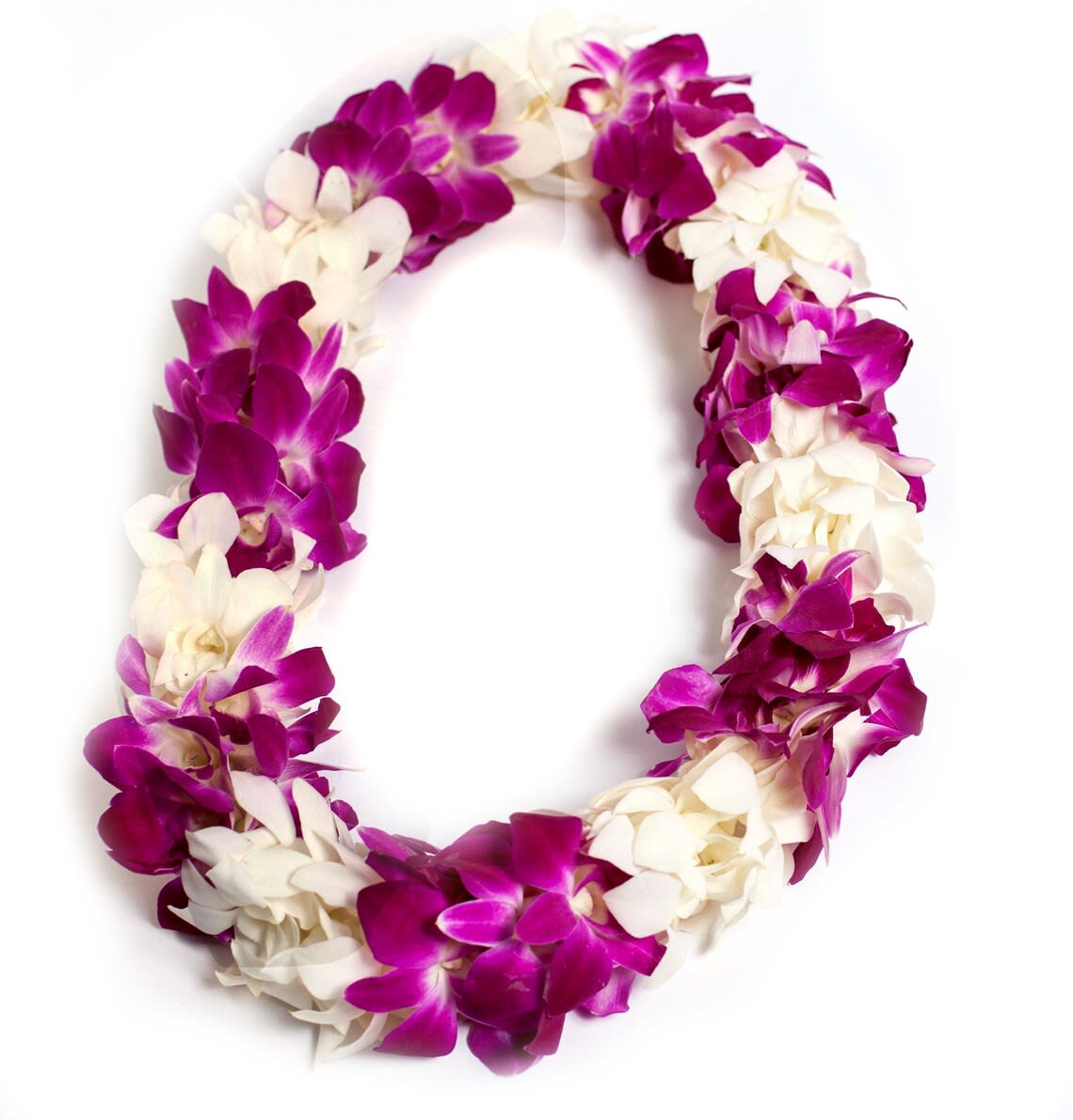 Purple and white orchid lei arranged in a loop