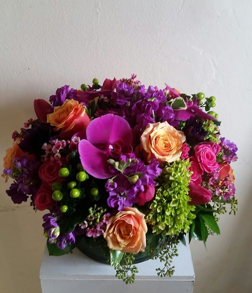 summer paradise - beautiful purple orchids in a vibrant design.