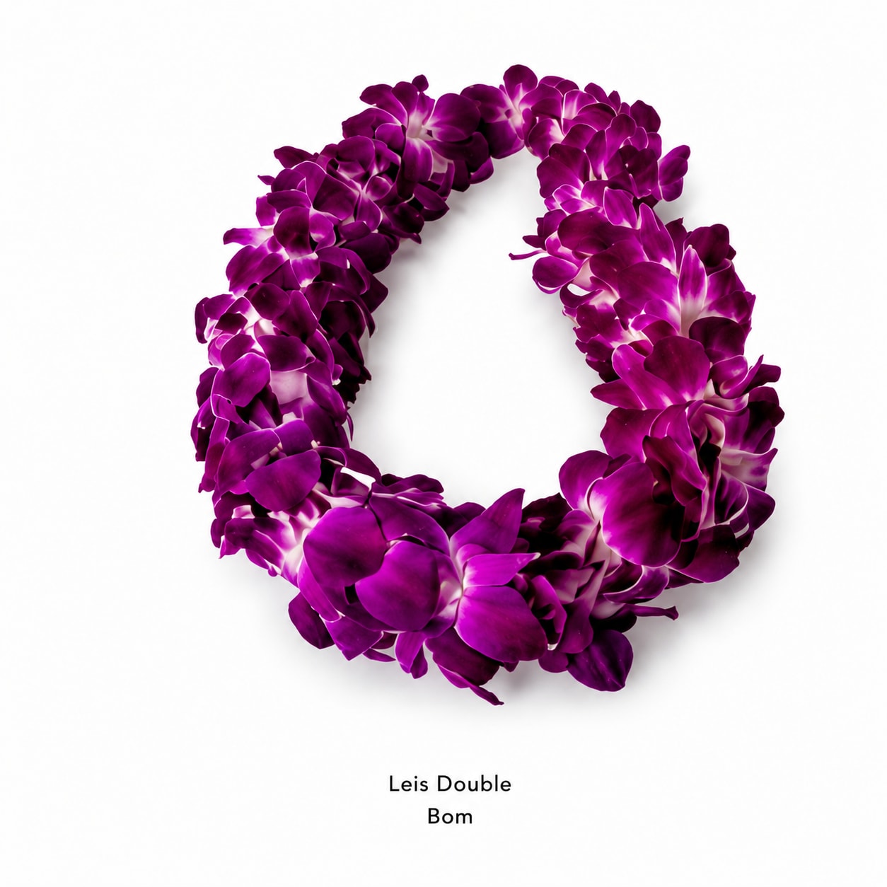 Graduation Lei (May 30th &amp; 31st Ceremonies only) - A lush circle of densely strung purple orchids with bright white centers-this graduation lei (May 30th &amp; 31st ceremonies only) makes a bold, festive statement for the grad you want to honor. Designed specifically as a celebratory accessory for graduation ceremonies, its saturated violet blooms read joyful and tropical, the white throats adding crisp contrast so the recipient looks and feels celebrated the moment it's placed around their shoulders.  Each lei is crafted from closely packed orchids to create a full, wearable garland that lays comfortably and photographs beautifully as grads process and pose. The compact circular shape emphasizes the flowers themselves rather than foliage or ribbon, keeping the look classic and unmistakably ceremonial. Ideal for warm-weather commencements, it's the kind of gift that makes the recipient feel seen and lauded-perfect for family members, friends, or mentors who want to mark this milestone with something both traditional and striking.  Available only for May 30th and 31st ceremonies-please order with the correct delivery or pickup date to ensure availability. The orchids are best kept cool and misted lightly if not worn immediately; when handled gently, the lei will retain its vibrant color and shape throughout the day's celebrations.
