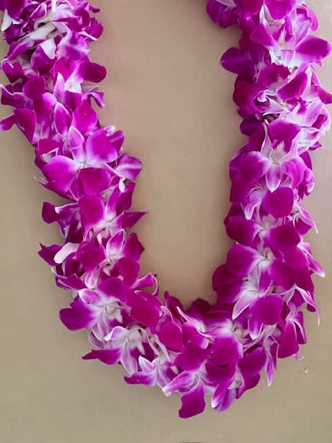 Purple and white orchid lei on a neutral background