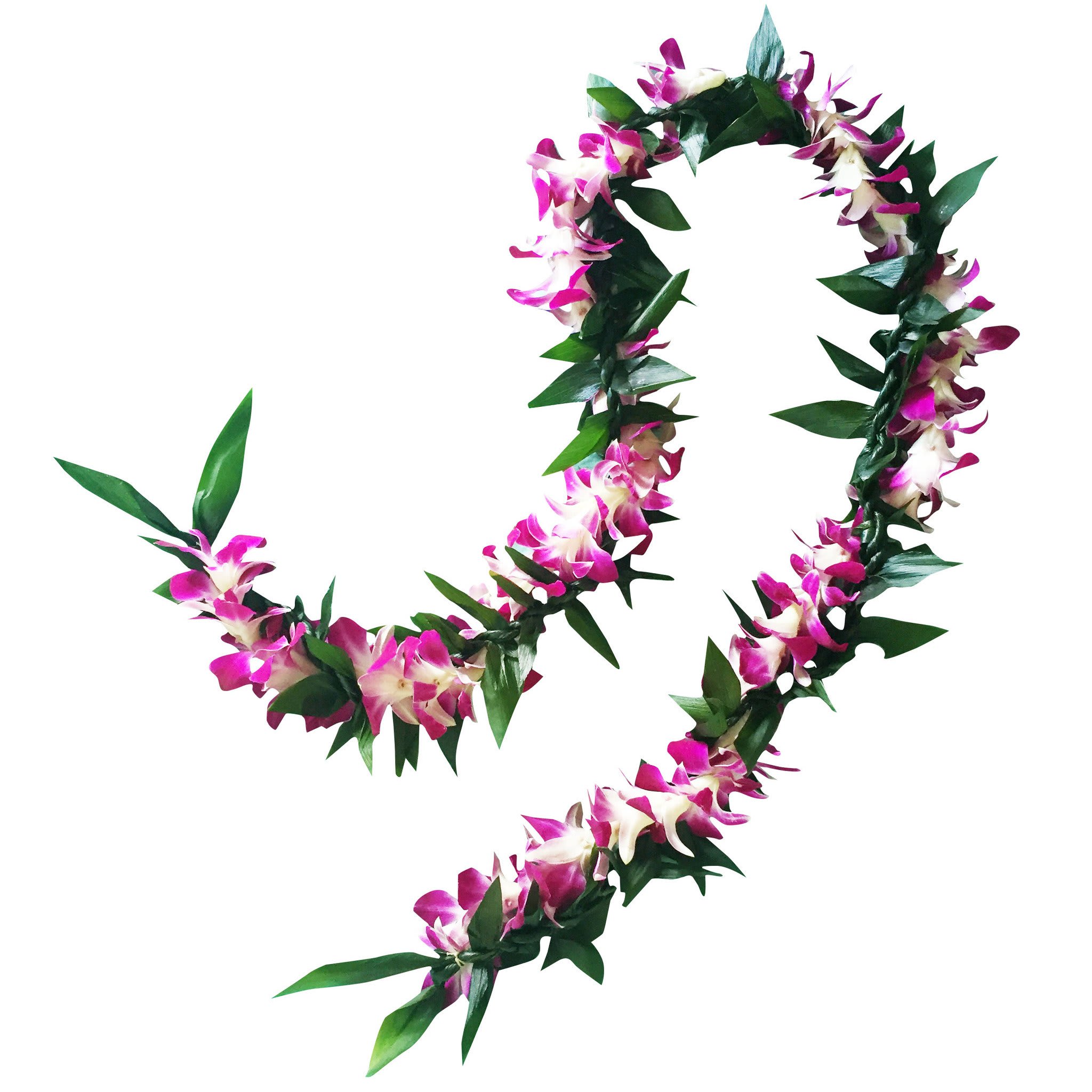 Two pink and white floral leis on a white background