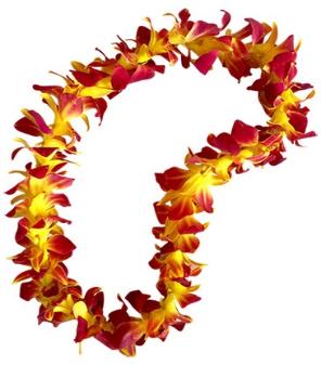 Red and yellow flower lei on a white background