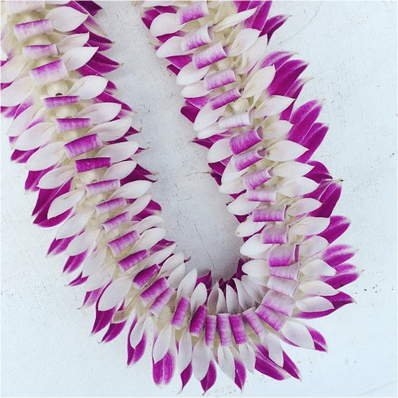 Two purple and white flower leis laid on a light surface.