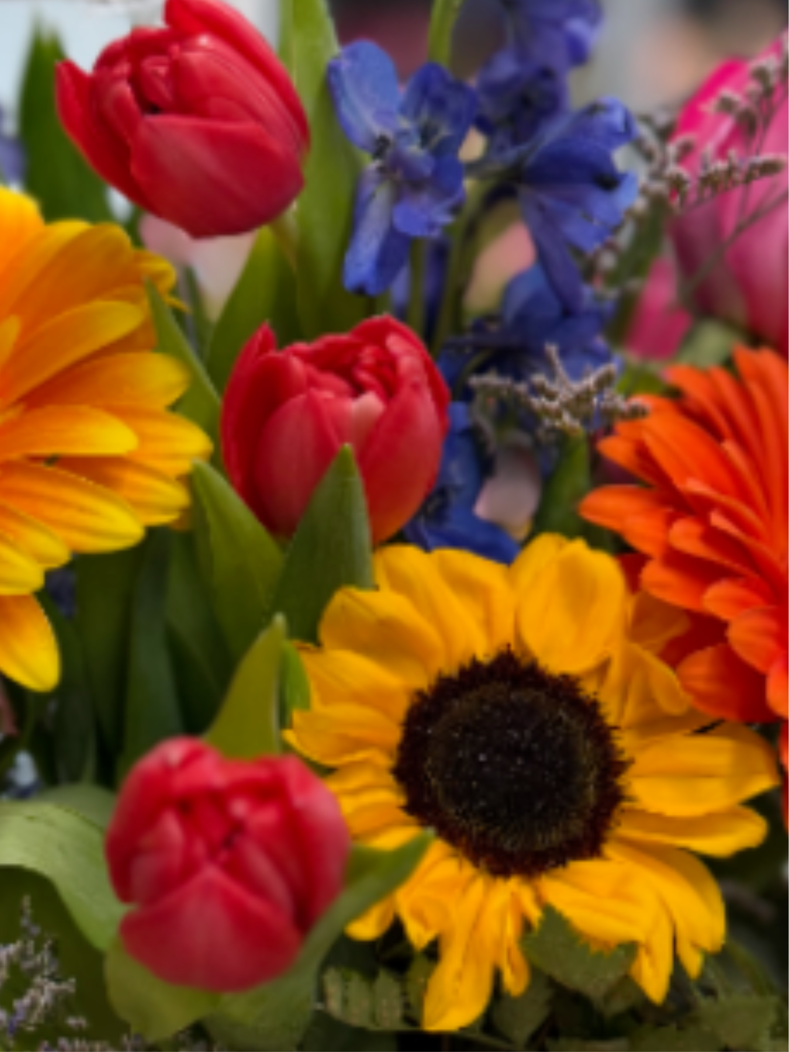 Colorful Designer's Choice - Our designers will use our bright, colorful blooms to brighten anyone's special day.