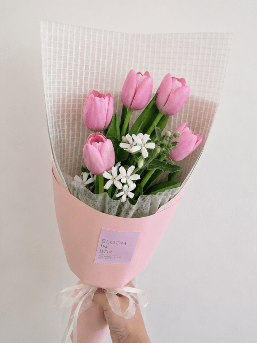 Pink tulip bouquet with small white flowers wrapped in pink paper