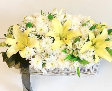 Like a love song Basket -  Pet Friendly? No This arrangement contains lilies, which are highly toxic to cats, and chrysanthemums, which can irritate household pets.  Keep this basket out of reach and avoid homes with curious cats. ‍⬛   Human Allergy Note : Pollen Alert: This arrangement contains lilies and chrysanthemums, both of which are high in pollen. To reduce irritation, consider carefully removing the orange lily anthers and keep the basket in a well-ventilated area away from bedding.   Care &amp; Longevity : Because these flowers are arranged in a basket, they typically sit in floral foam. To keep them fresh, check the moisture level daily and add water to the center of the basket to keep the foam saturated. Avoid placing the basket near direct sun, heat sources, or AC vents. Gently mist the blooms and remove any fading flowers to encourage the remaining buds to open.   Best Occasions &amp; Situations : - Get Well / Comfort - Sympathy &amp; Memorial - Birthday - Retirement - Housewarming - Thinking of You   Why Customers Love It : - Soft Color Palette: The blend of cream, white, and green creates a peaceful and calming atmosphere. - Gift-Ready Presentation: Arrives in a charming white wicker basket, requiring no additional vase or setup. - Versatile Design: The low-profile shape makes it an excellent table centerpiece that doesn’t block conversation. - Fresh Textures: A beautiful mix of large petals and petite “button” shapes provides great visual interest.