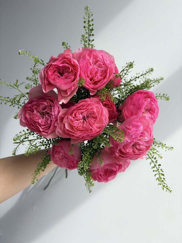 Magenta Roses - Tried and true rose bouquet.  *Vase not included