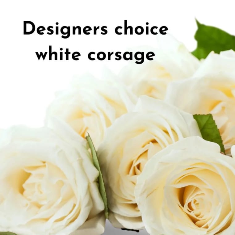Close-up of cream white roses used for a designer's choice white corsage on a white background.