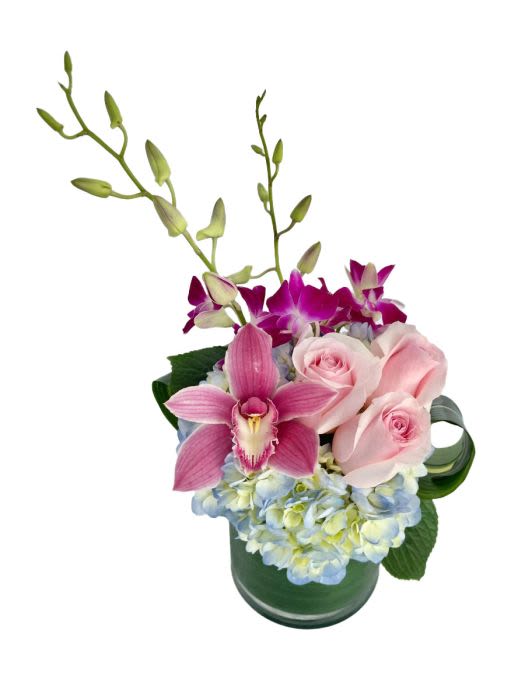 Compact arrangement of pink roses, orchids, and blue hydrangea in a clear cylinder vase