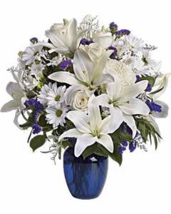 Beautiful in Blue Flower  -  Pet Friendly? No. This arrangement includes lilies, which are toxic to cats and can cause serious issues if ingested.  Keep out of reach; avoid homes with curious cats.   Human Allergy Note : Possible pollen sensitivity. Lilies and chrysanthemums can produce pollen that triggers hay fever-like reactions; keep blooms away from bedding and ventilate rooms.   Care &amp; Longevity : Trim stems 1–2″ at an angle. Use a clean vase with fresh water and change water every 2–3 days. Remove fading blooms promptly. Avoid direct sun, heat, or drafts to extend life.   Best Occasions &amp; Situations : - Get well or comfort - Sympathy &amp; funeral tributes - Birthday for him or her - New baby boy - Professional congratulations - Winter seasonal gifting - Housewarming   Why Customers Love It : - Soothing blue-and-white palette ideal for moments of reflection. - Thoughtfully hand-arranged with respectful, elegant styling. - Vase presentation is ready to display at services. - Balanced mix of classic and comforting blooms.