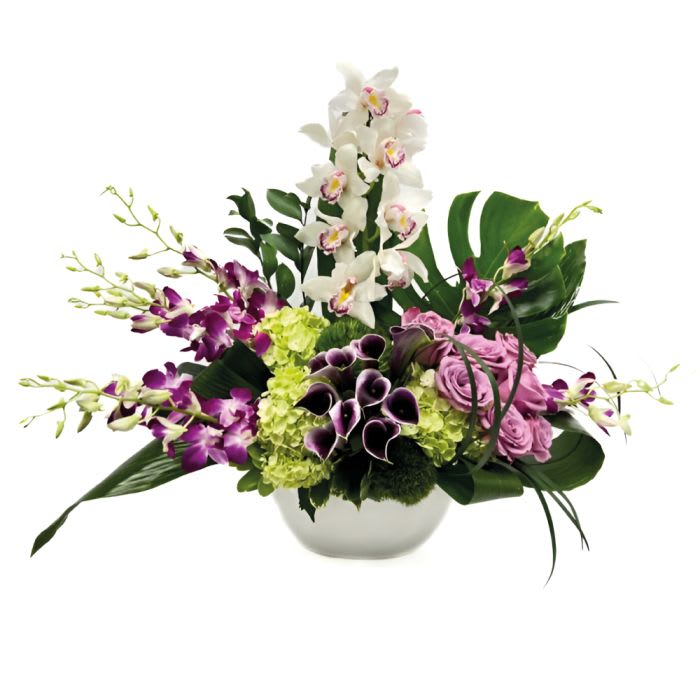 Tall modern arrangement with white orchids, purple calla lilies, green hydrangeas, and lavender roses in a white bowl.