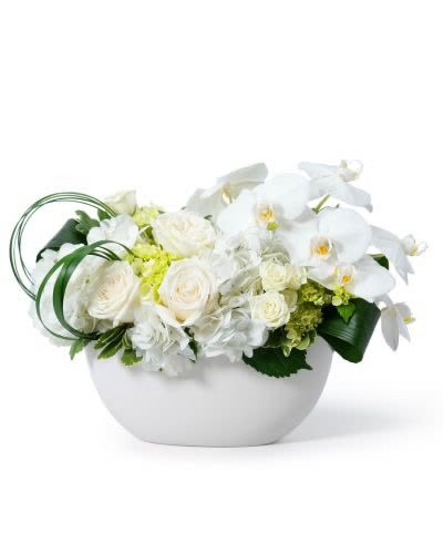 Low white bowl of white roses, orchids, and hydrangeas with decorative green looped foliage