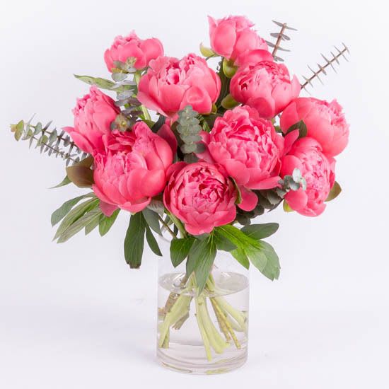  Vibrant coral Peony Bouquet - Known for their incredible color, these peonies will be a blooming gift each and every day as they arrive in bud form and magically evolve from vibrant coral to a pale pink.