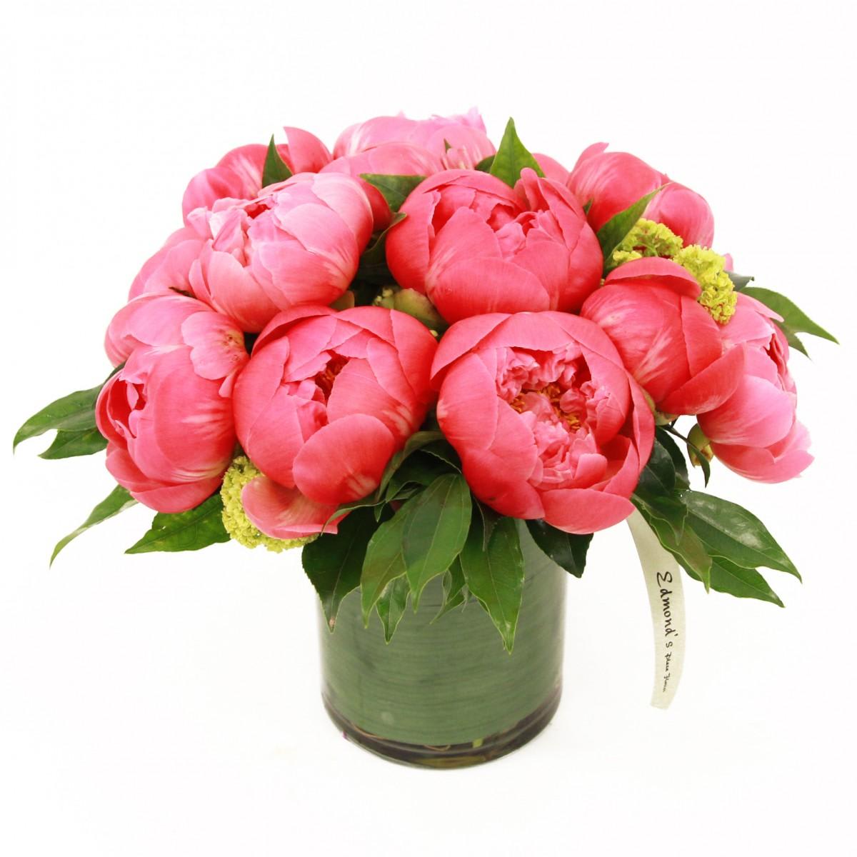 Coral Peonies  Bouquet - Give us a chance and give your loved one this wonderful bouquet of coral peonies.From bud to bloom, there’s something magnificent about peonies