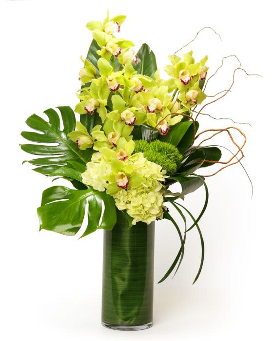 Tall green cymbidium orchid and hydrangea arrangement with large tropical leaves in a glass cylinder vase