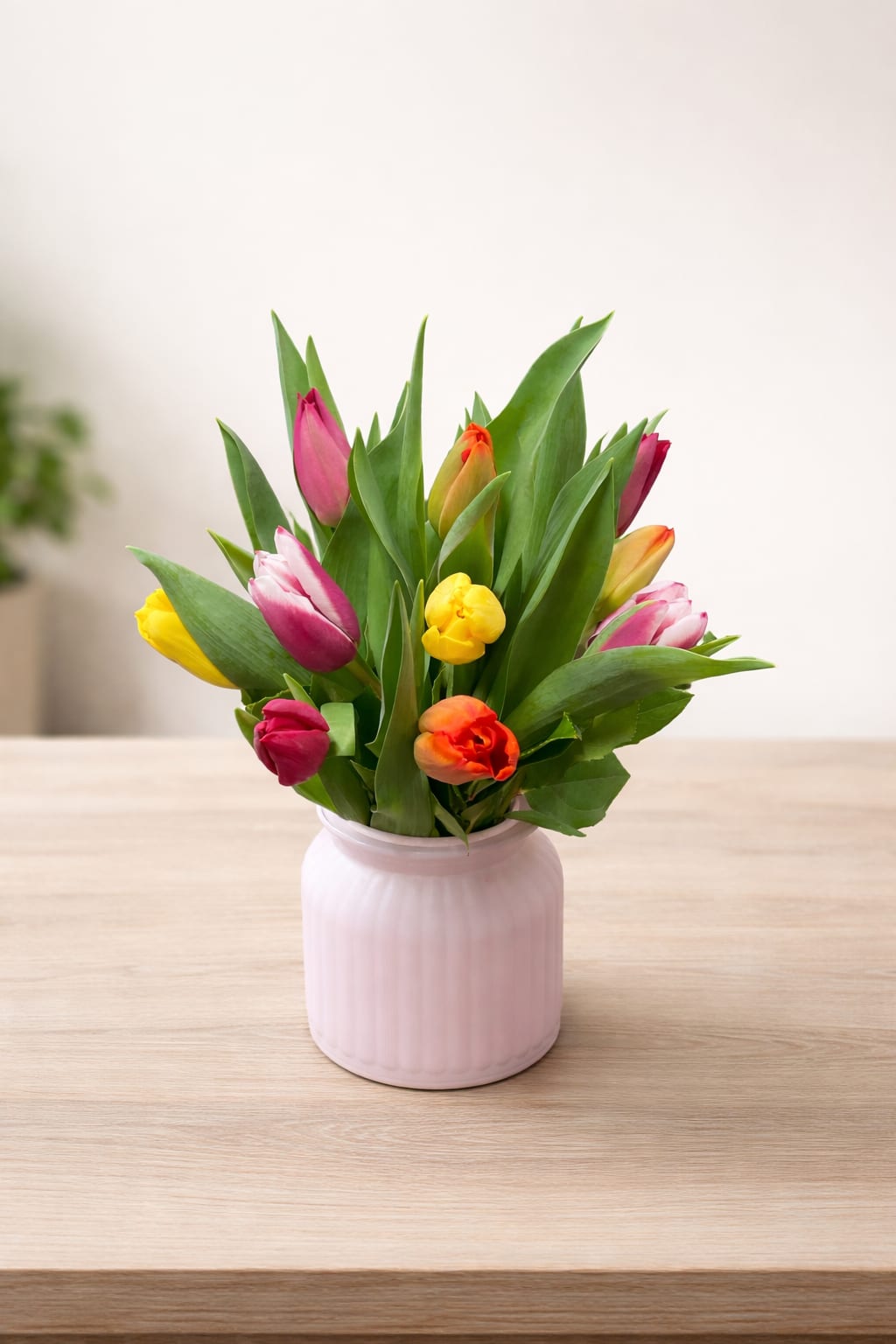 Colorful tulips arranged in a pink ceramic vase