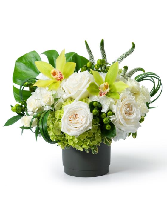 Low white and green arrangement with roses, green hydrangea, and orchids in a dark round pot.