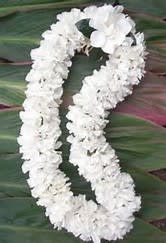 White floral lei on a green leaf background