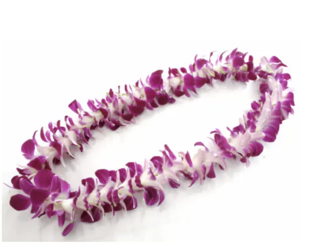 Purple and white orchid lei on a white background