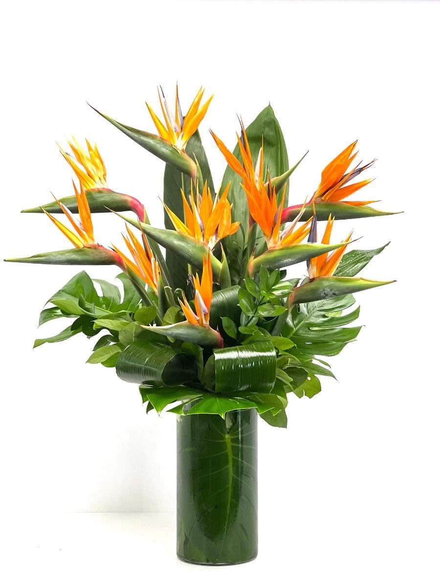 Tall tropical arrangement of orange bird of paradise flowers in a leaf-lined glass cylinder vase