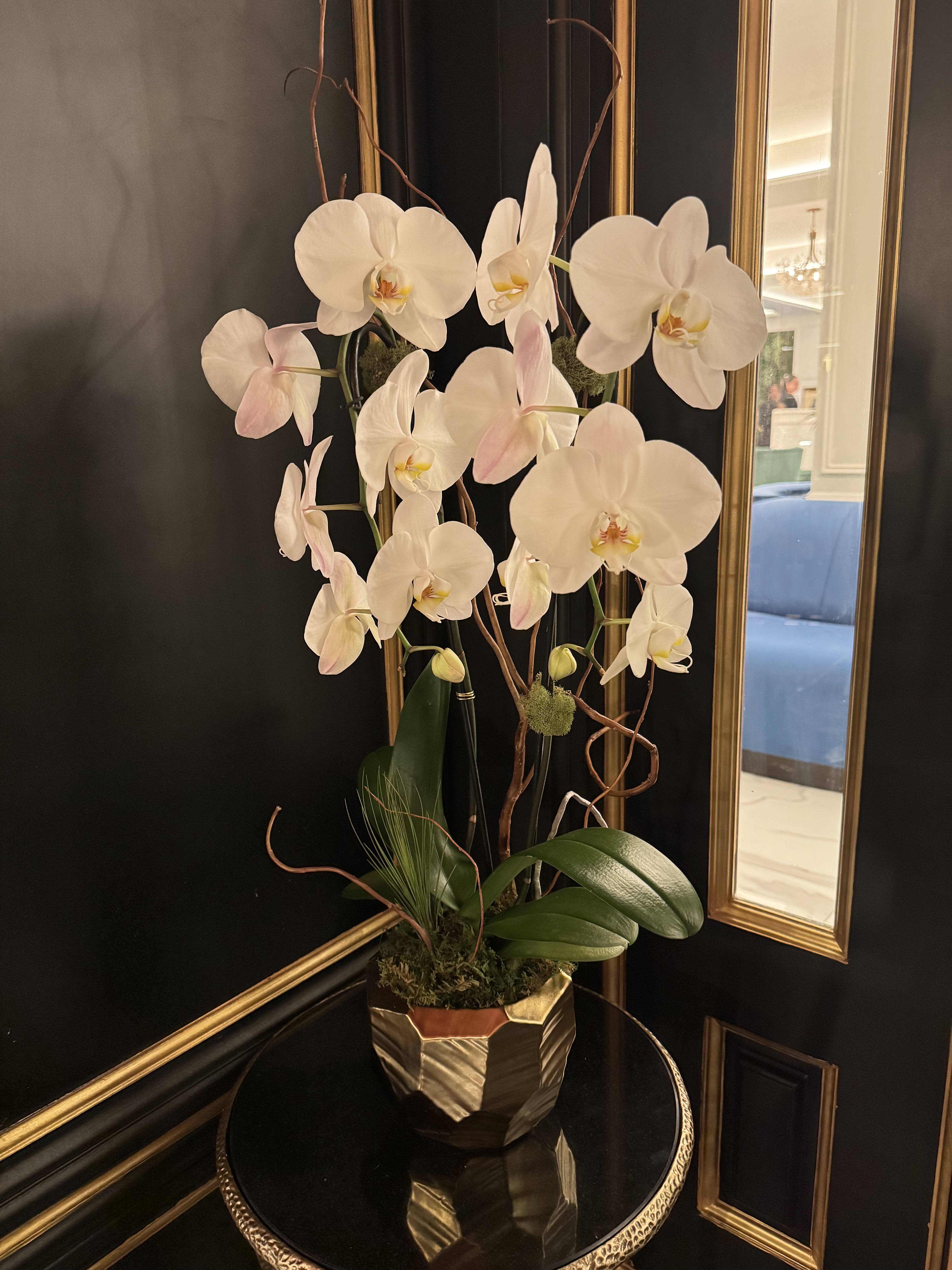 White orchid arrangement in a gold geometric pot