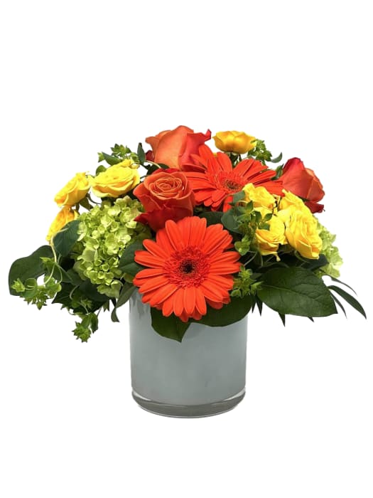 Florida Citrus - Florida Citrus Shows off Its Oranges, Limes and Lemons with Beautiful Roses, Spray Roses, Gerberas and Hydrangeas in a White Cylinder Vase with Lime Green Foliages.