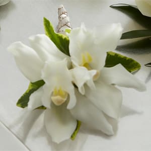 White orchid corsage with green accents on a white ribbon
