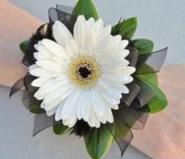 White gerbera daisy boutonniere with green leaves and black ribbon