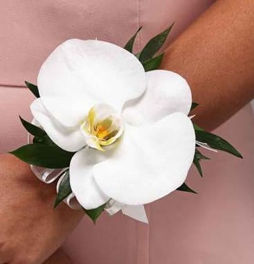 White orchid corsage on a wrist with dark green leaves