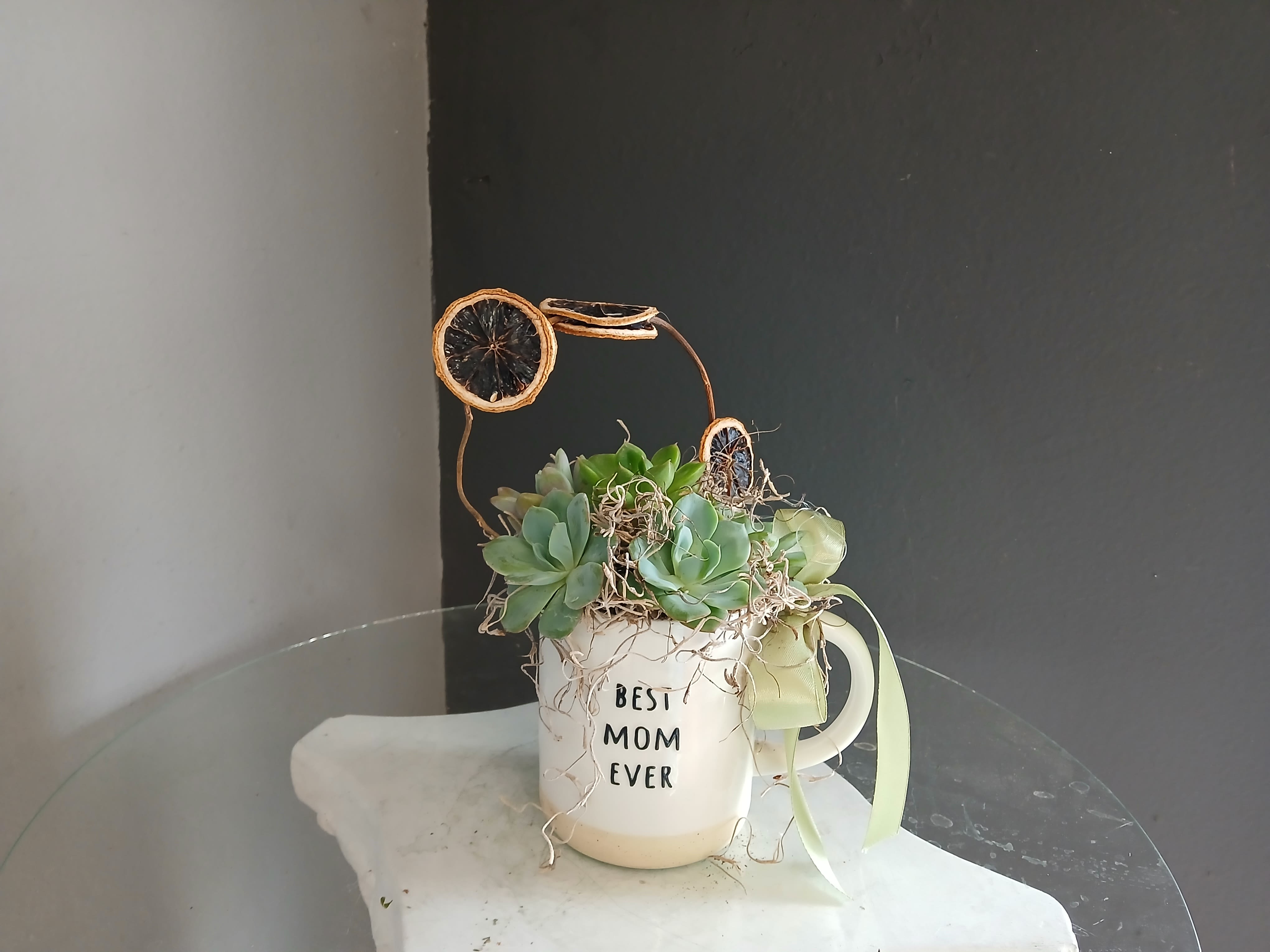 Best Mom Ever Succulent with Dried Oranges - Precious succulent arrangement with dried orange inclusions in a mug!