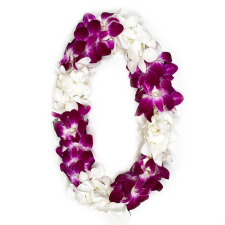 Purple and white orchid lei on a white background